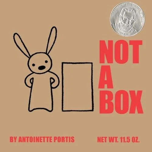 Not a Box book cover