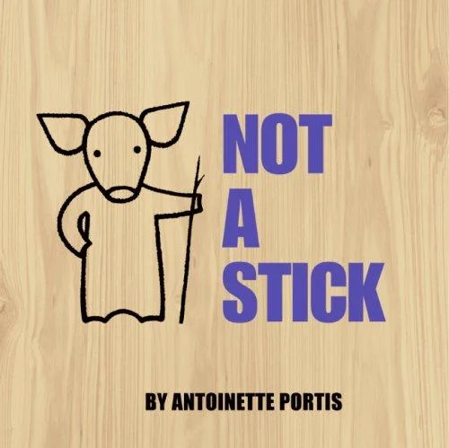 Not a Stick book cover