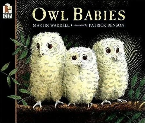Owl Babies book cover